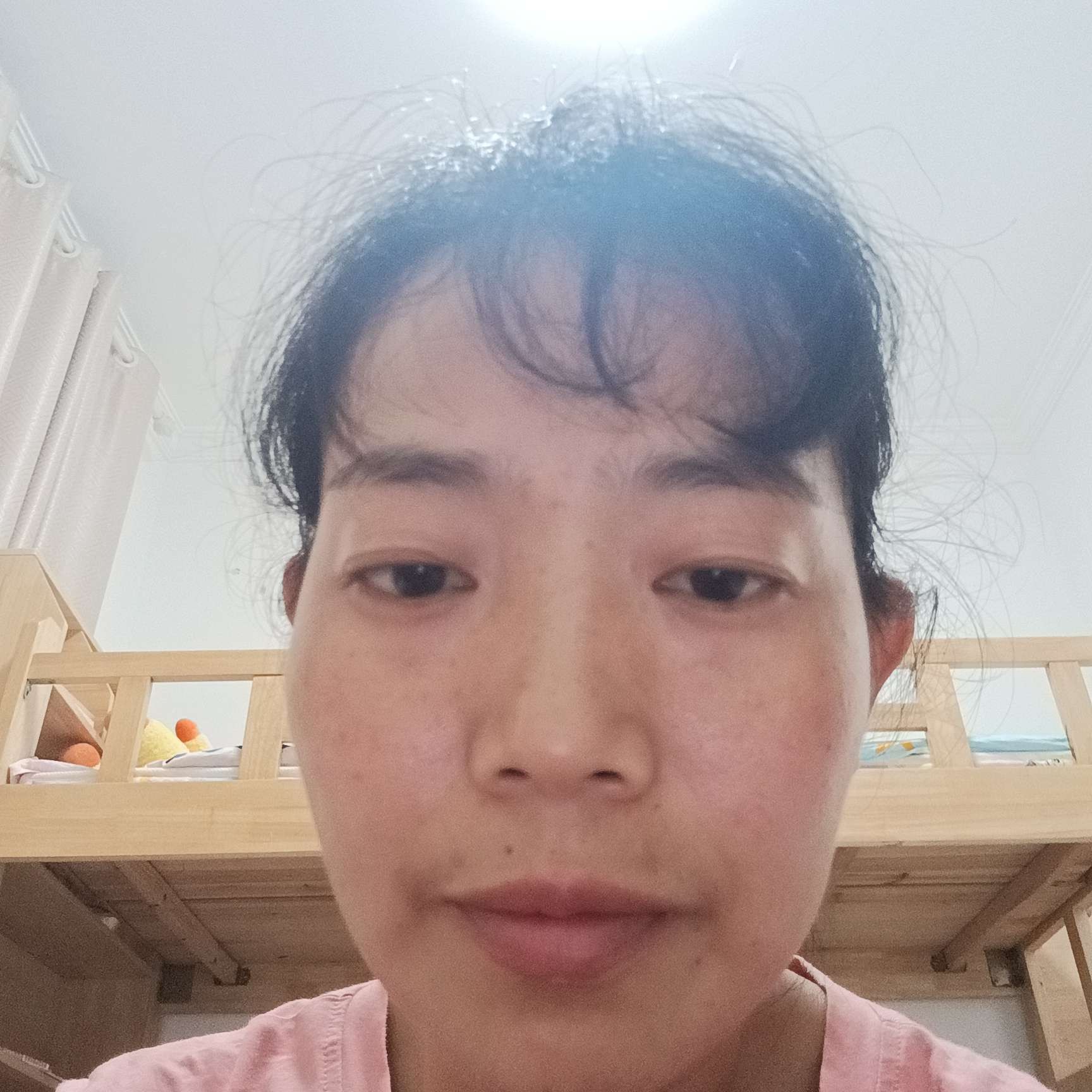 向日葵演变光亮的照片