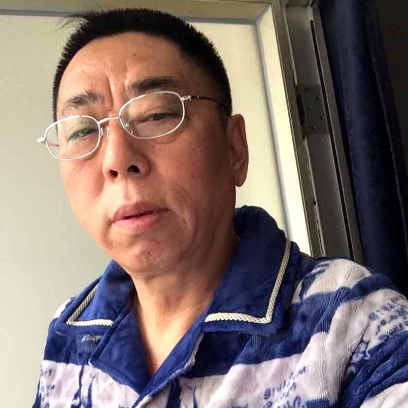 刺猬苦恋外向的照片