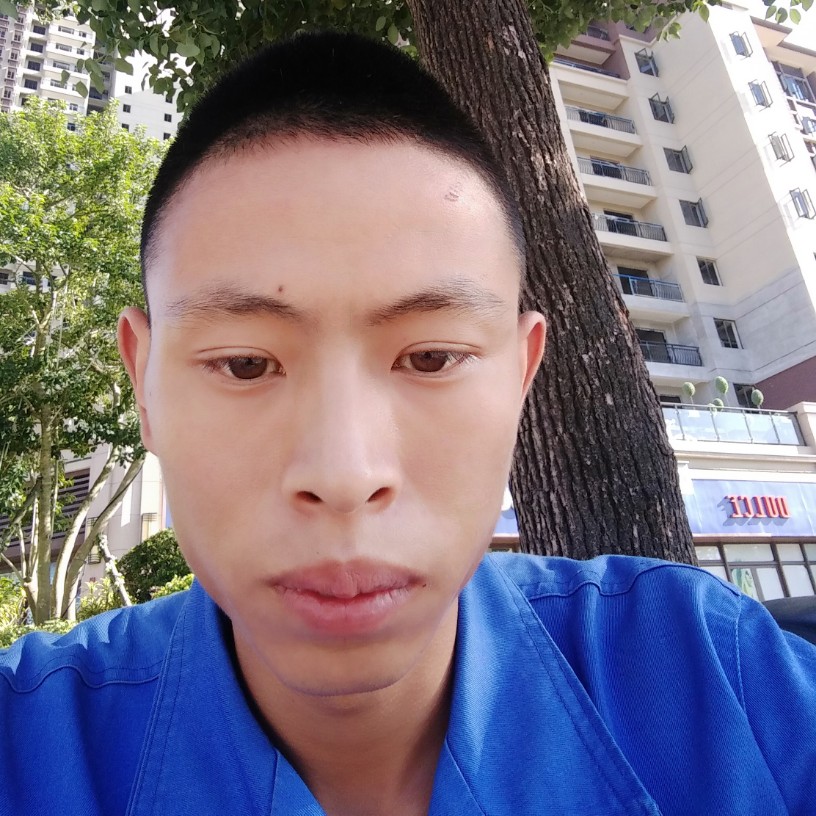 青春凋零回忆过去的照片