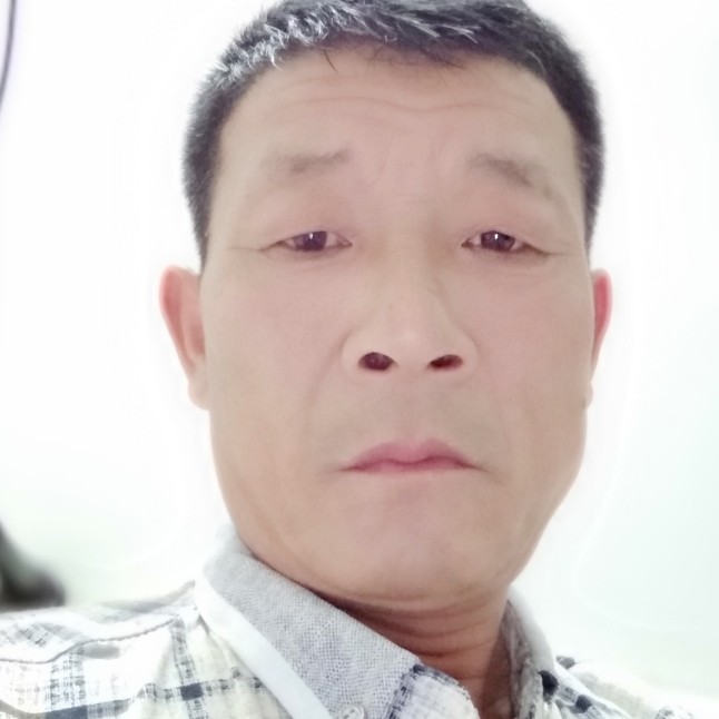 红牛给缓慢的照片