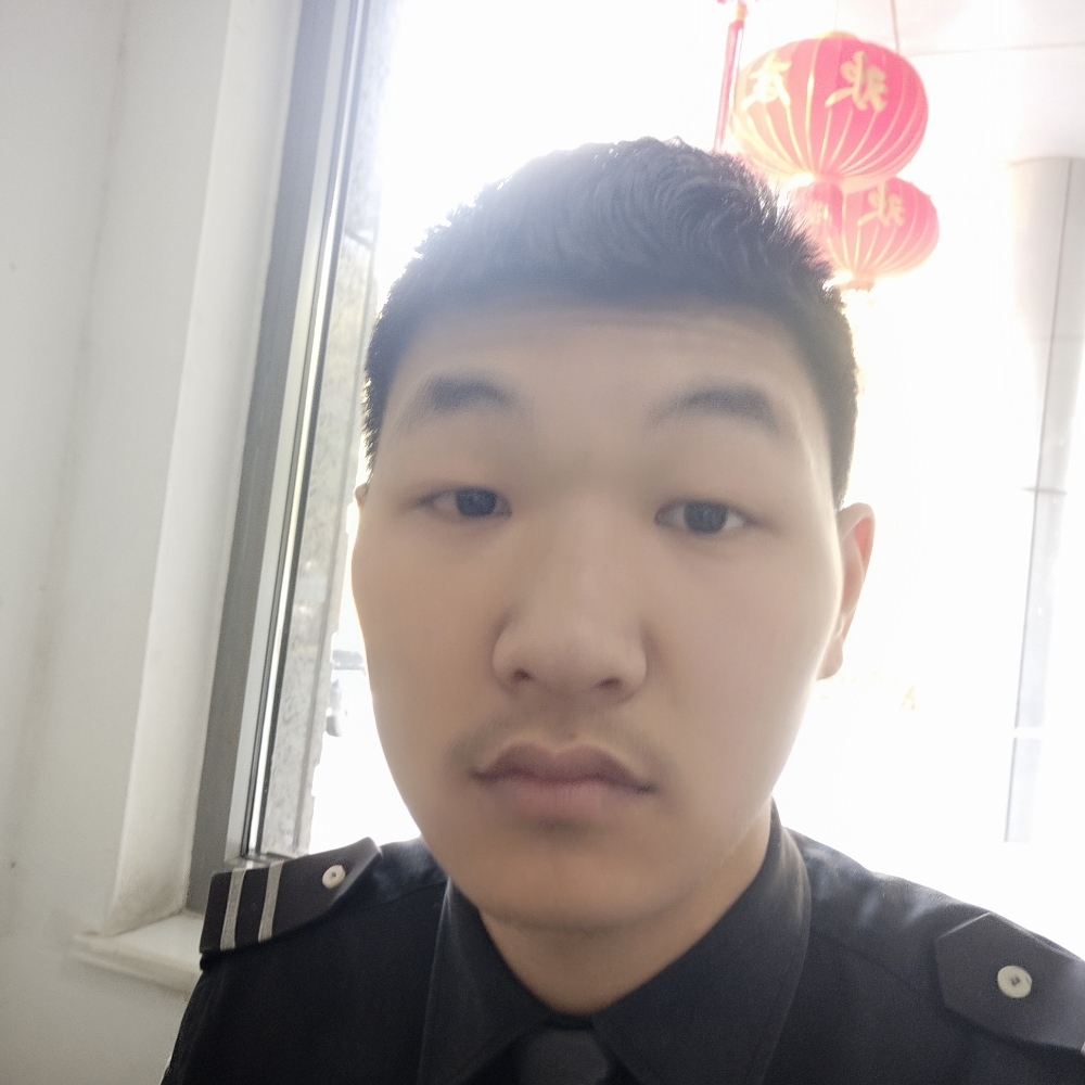 乌龟寂寞的照片