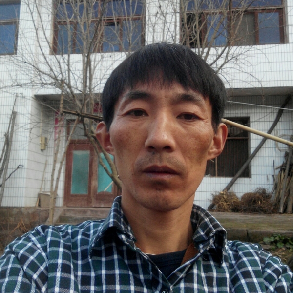 害羞汽车的照片