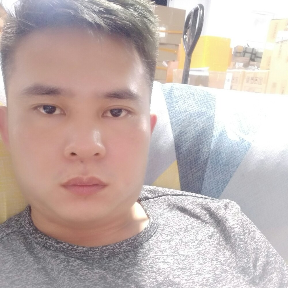 生动改变飞鸟的照片