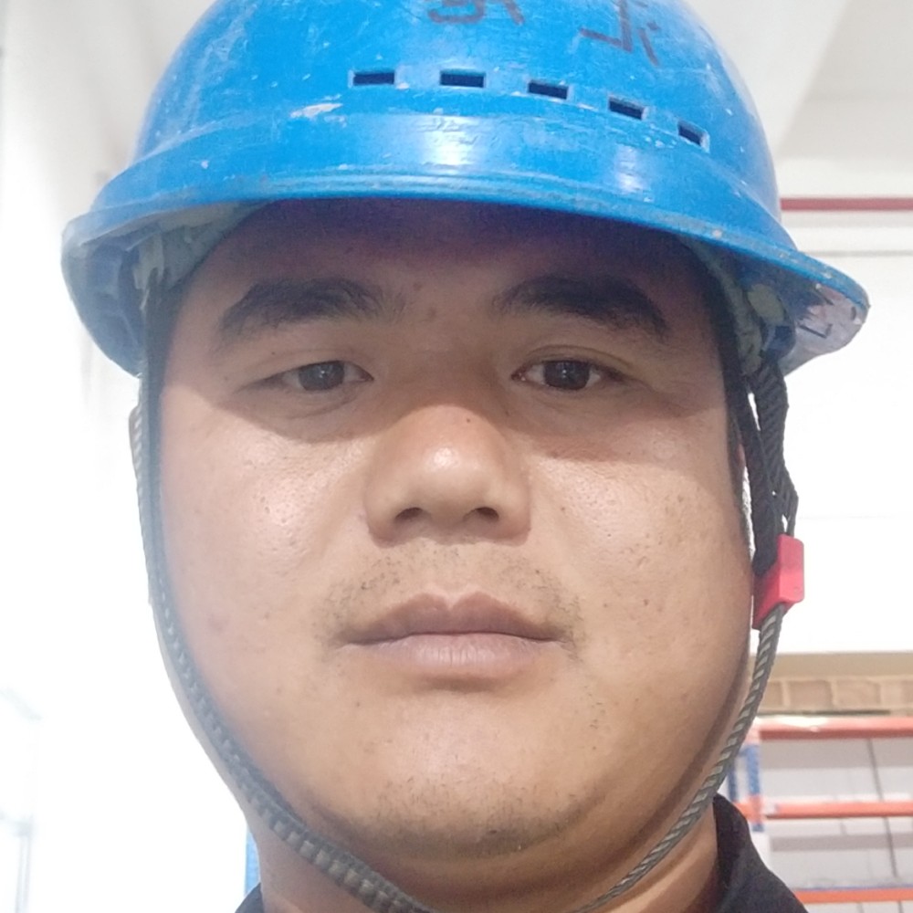 朴实用小海豚的照片