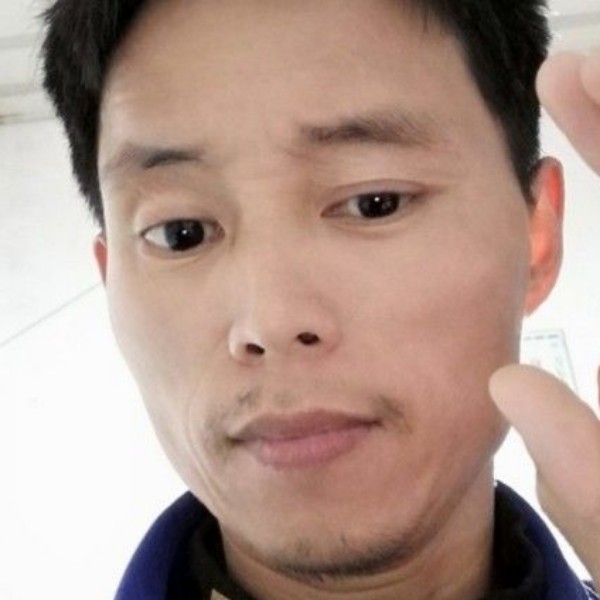 稳重回眸小猫咪的照片