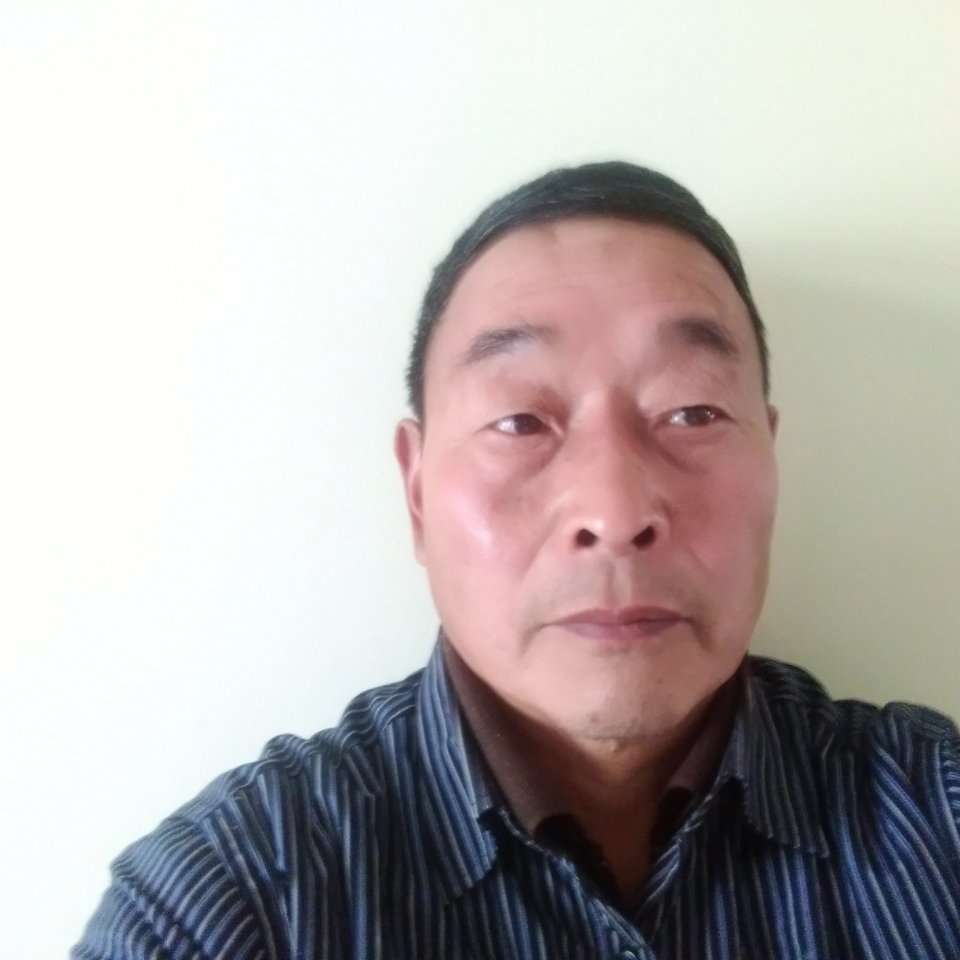 玫瑰采摘的照片