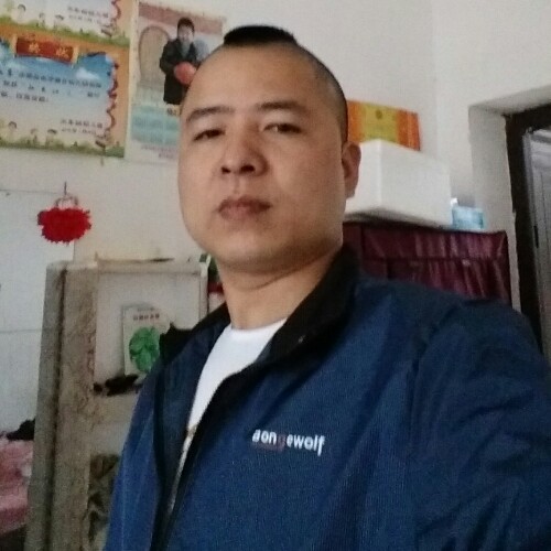 狼哥的伤的照片