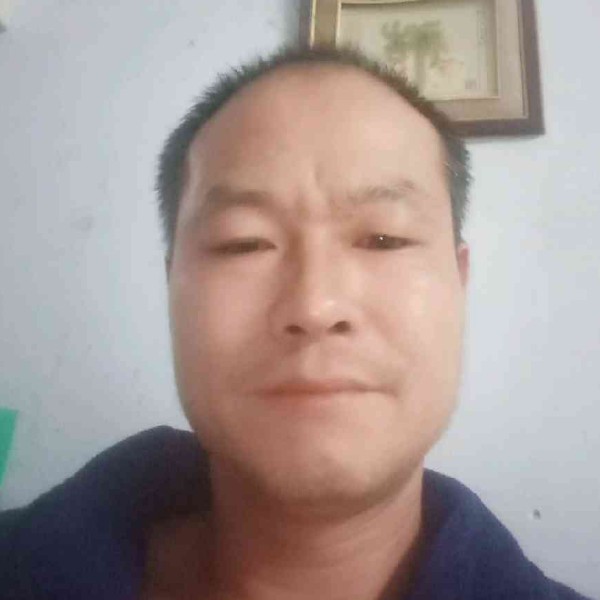 森槿請含糊的照片