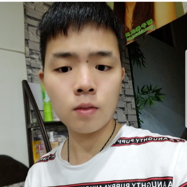 棒棒，的照片