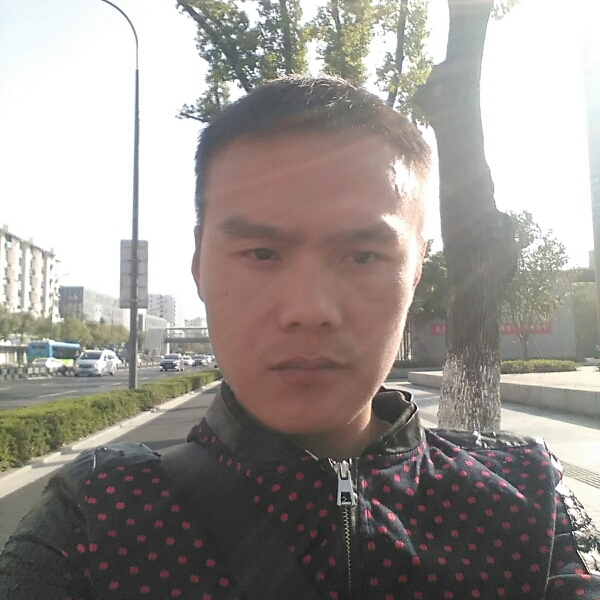 迷了路的树的照片