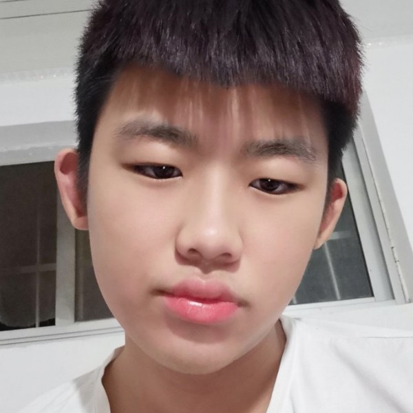 乐曲倾心自由的照片