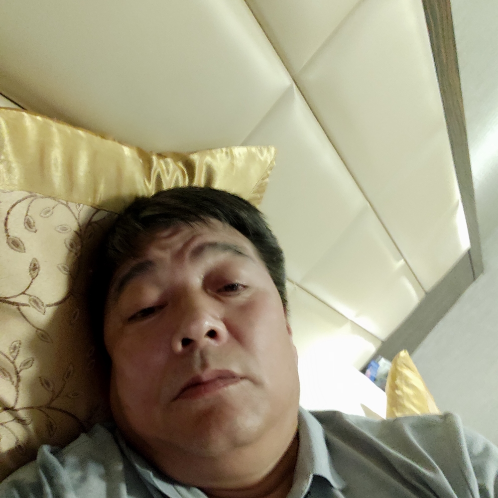 大树大树大树的照片