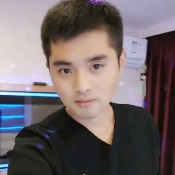 蜗牛是骑士的照片