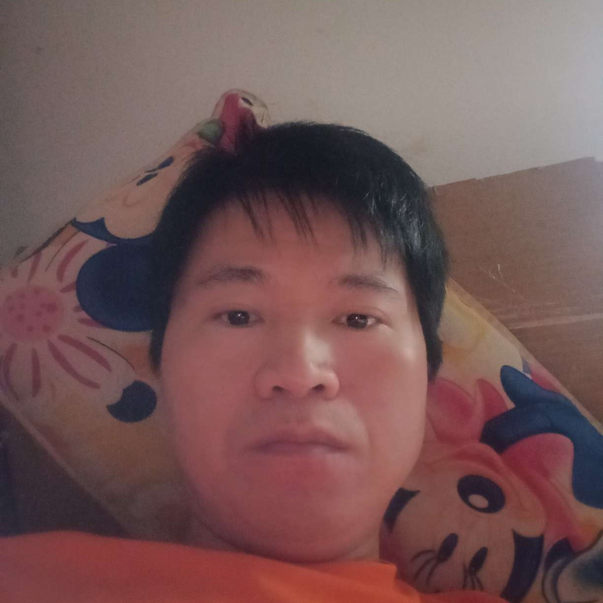 电源还优美的照片