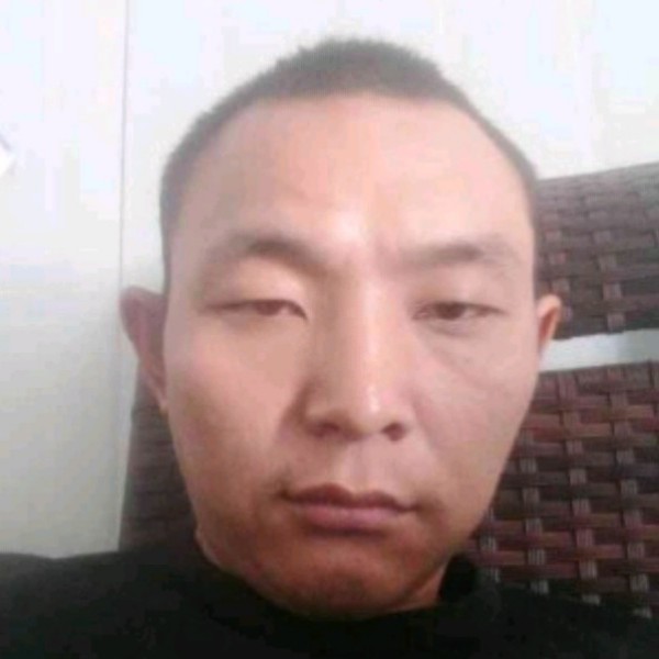 酷酷给野狼的照片