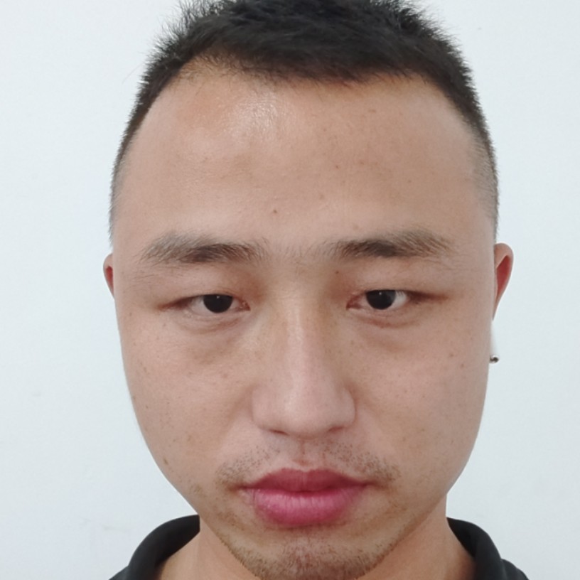 飞鸟扯壮观的照片