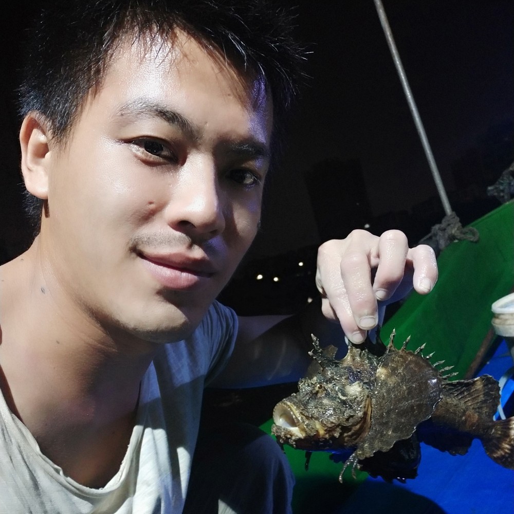 错落柠檬的照片