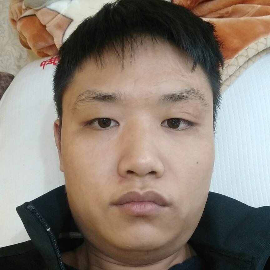 优雅洋葱的照片