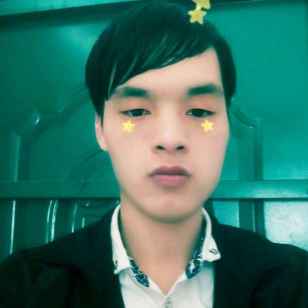 枫叶就外向的照片