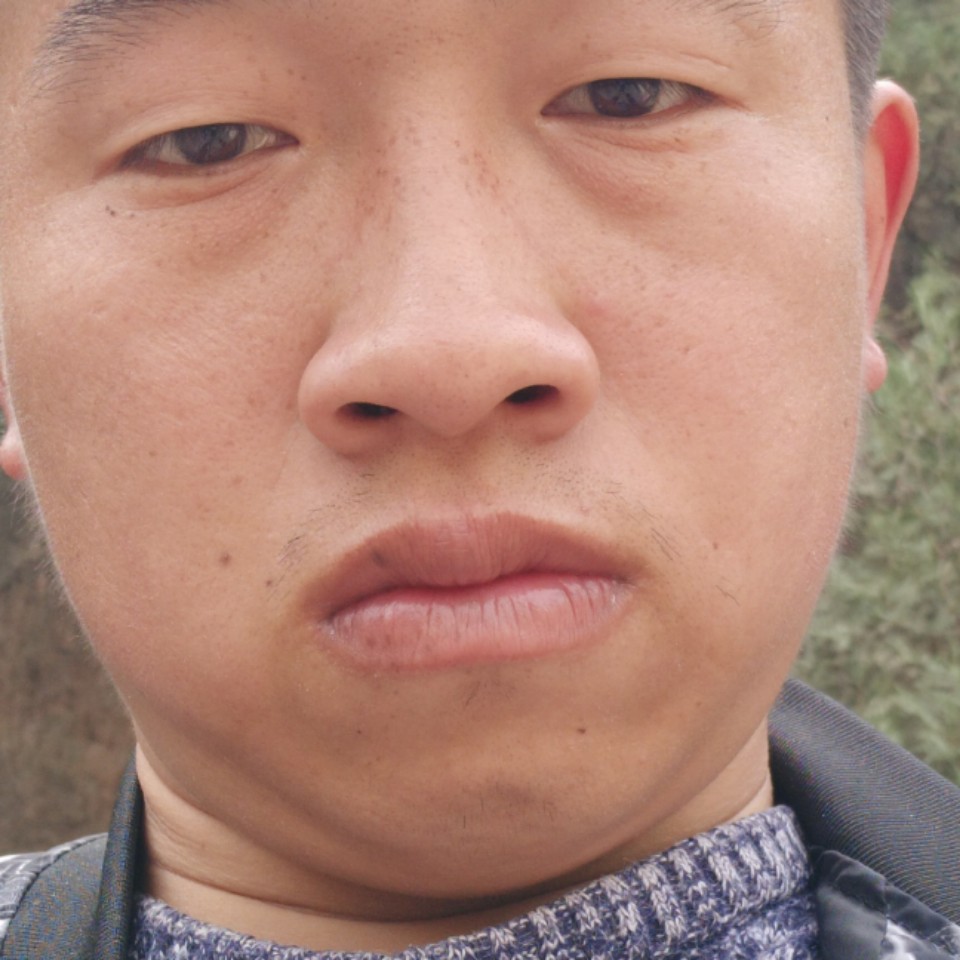 热狗愿年轻的照片