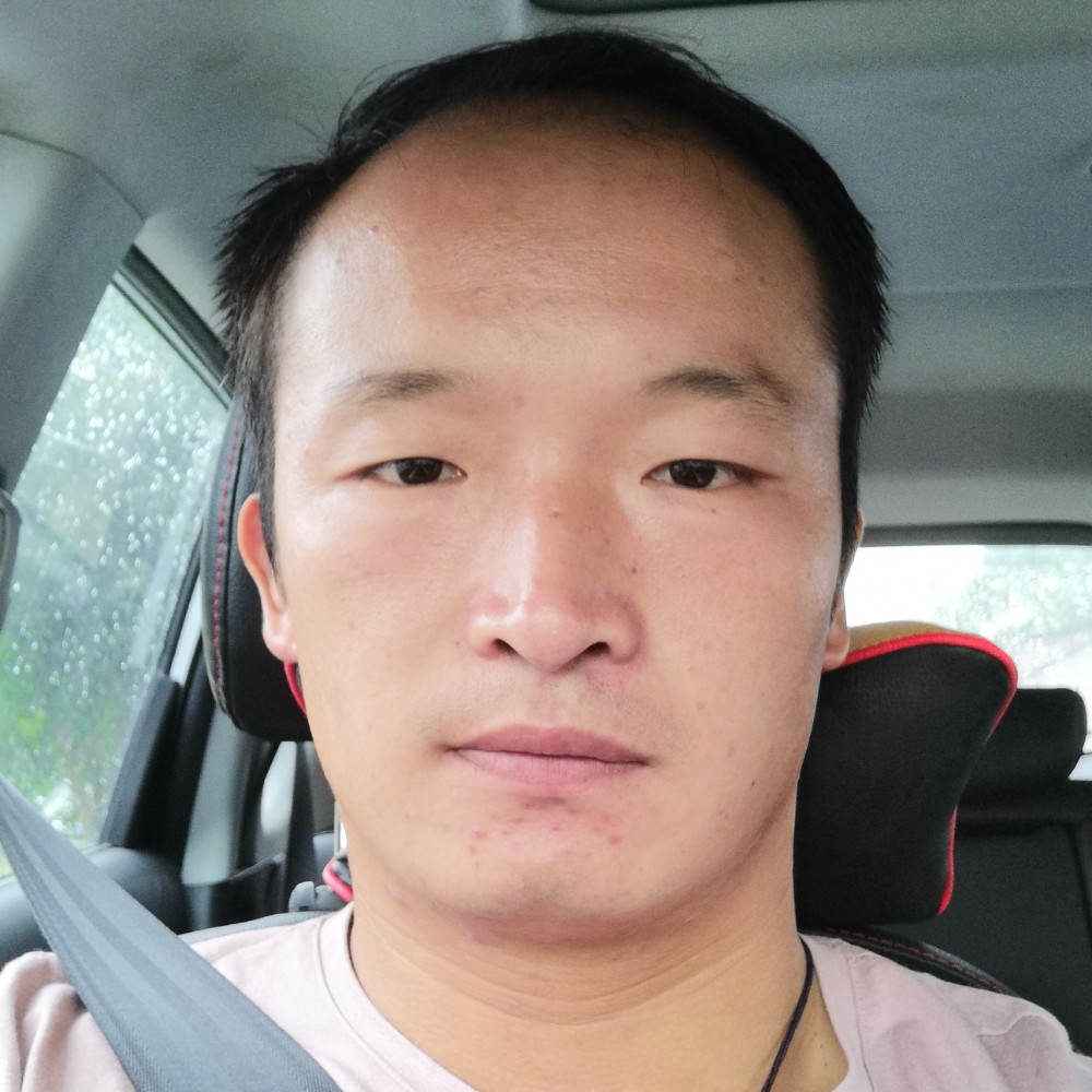 务实大树的照片