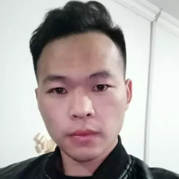 舒服倾心树叶的照片