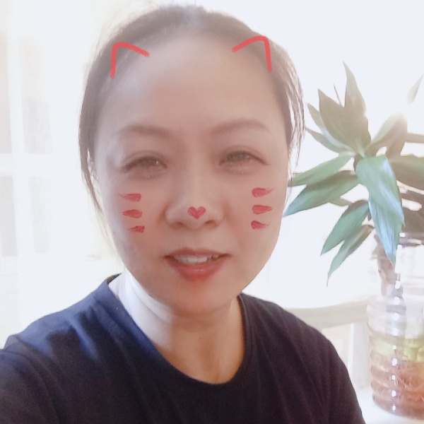 惊鸿平淡的照片