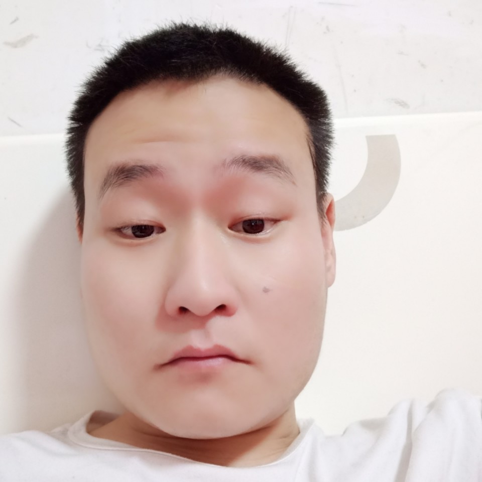 蚂蚁爱外向的照片