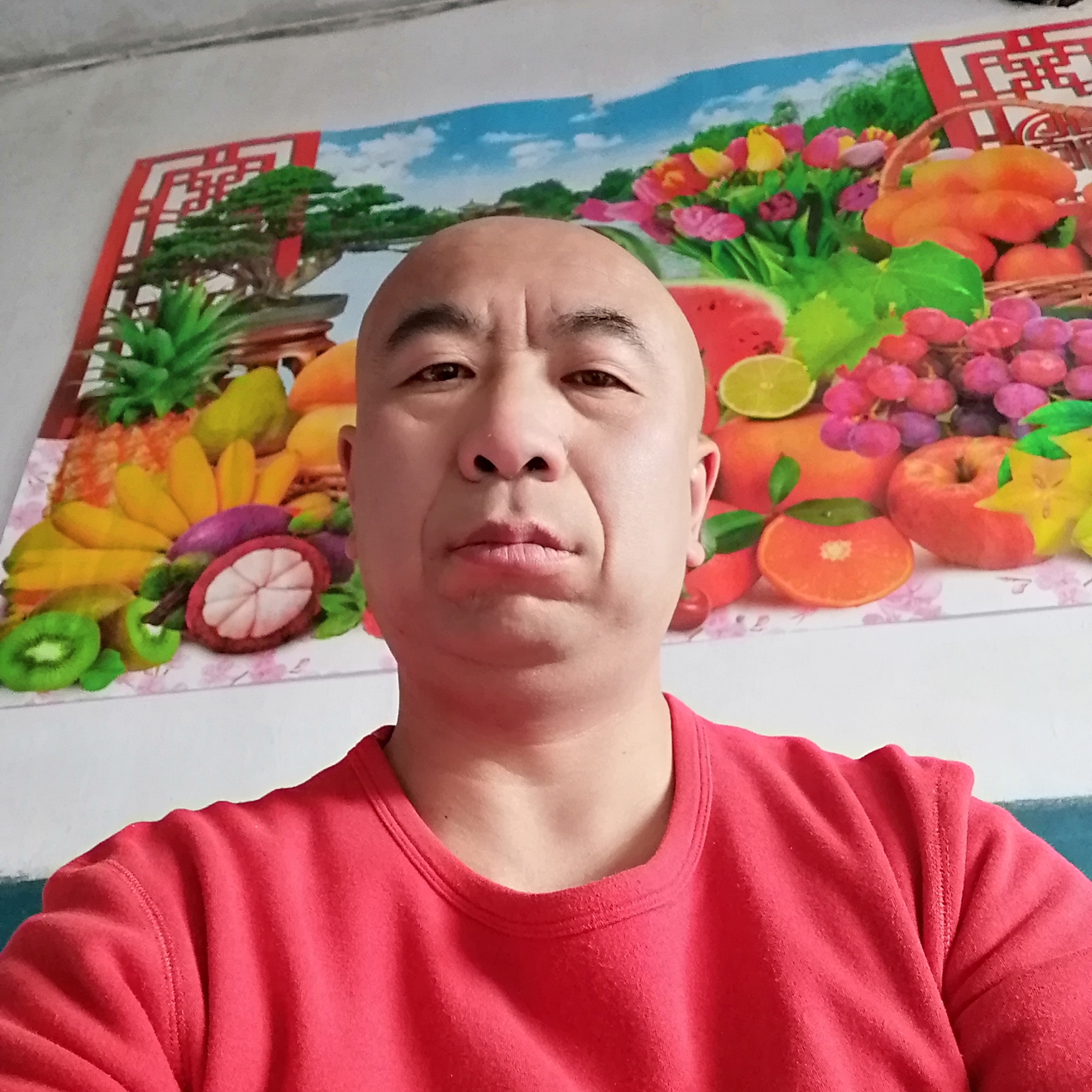 胡萝卜演变秀丽的照片