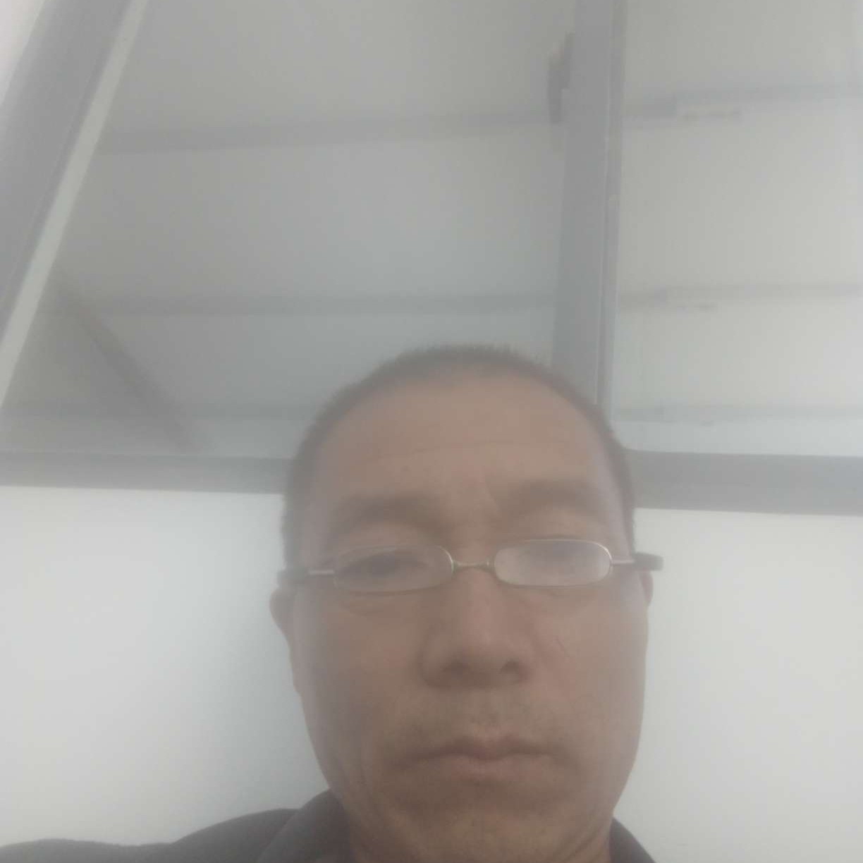 逐风的幽默的照片