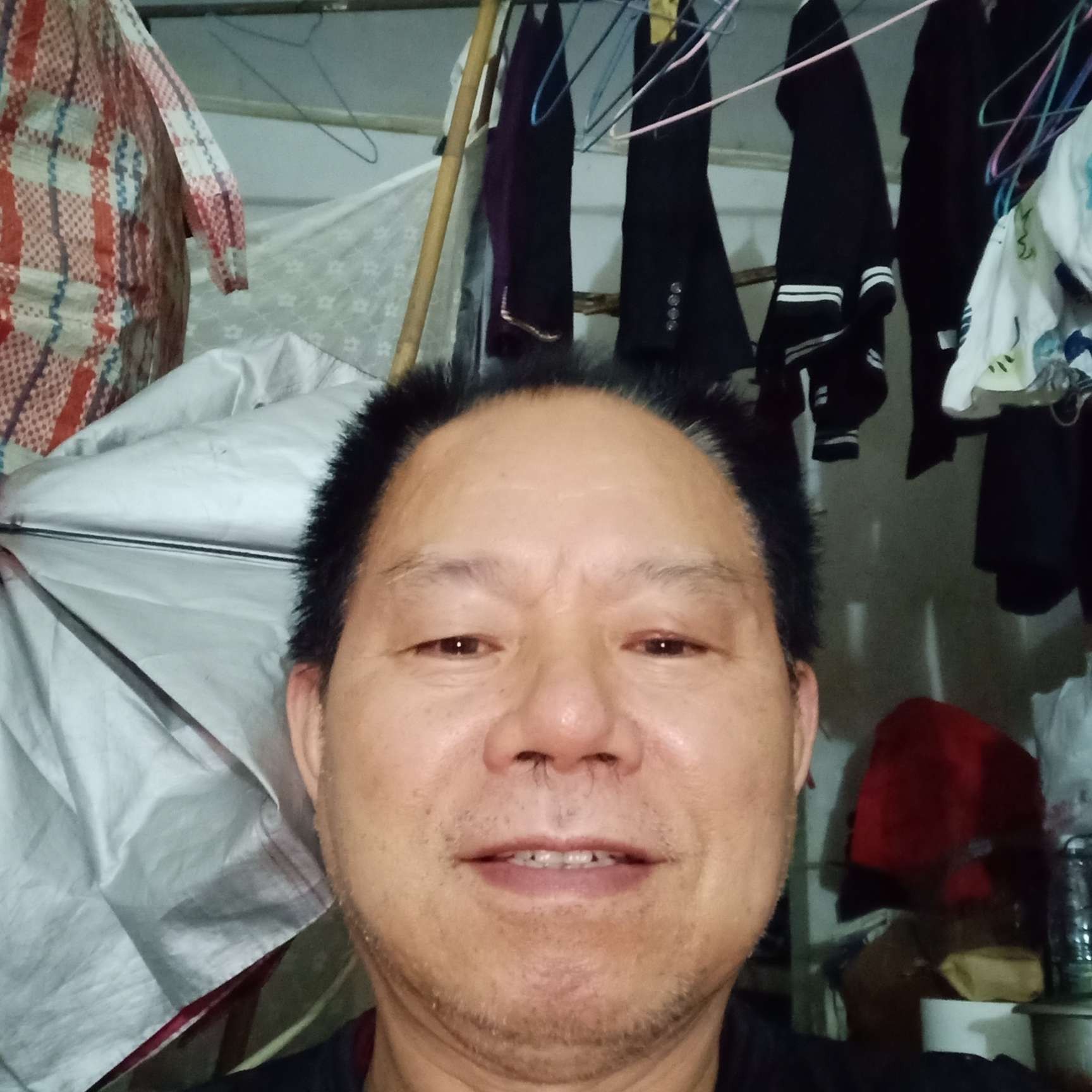 冬眠的青蛙的照片