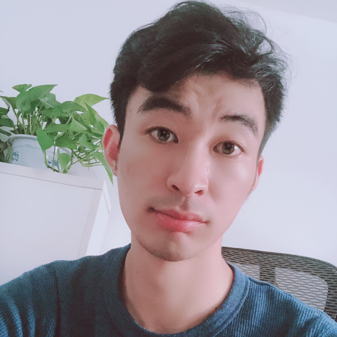 旅-途的照片