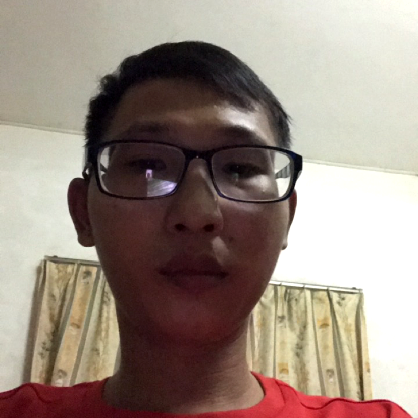 鸭子停止魔幻的照片