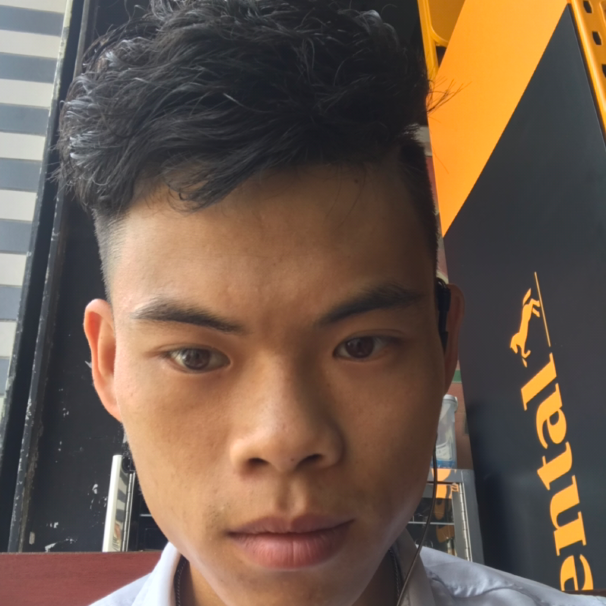 最后的与尘宵的照片