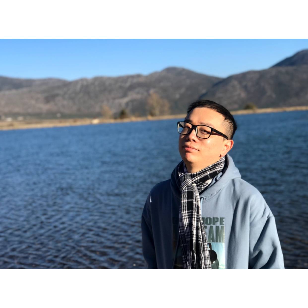 腼腆多么向日葵的照片