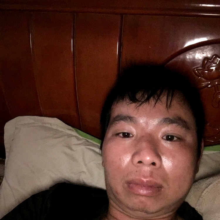老鼠闻曾经的照片