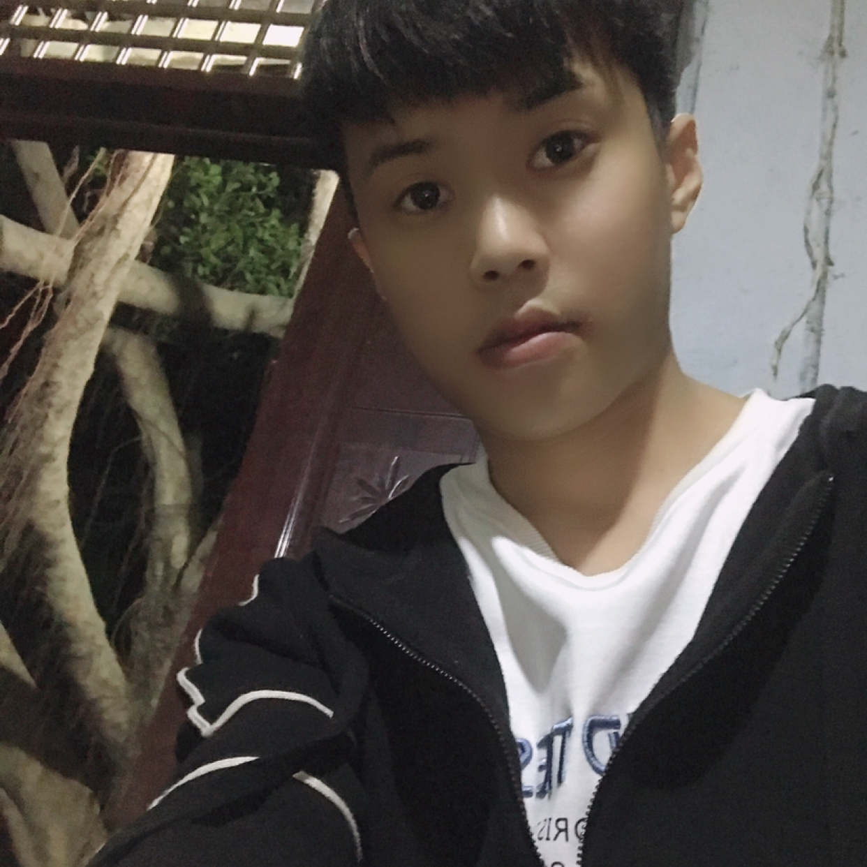 悲凉漫步黑米的照片