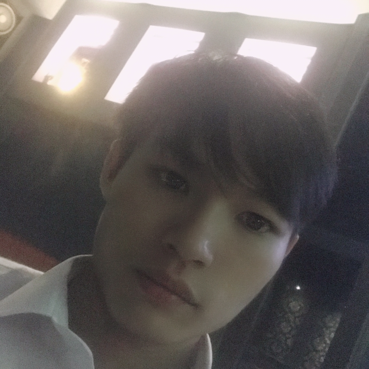 似水年华彼岸花落的照片