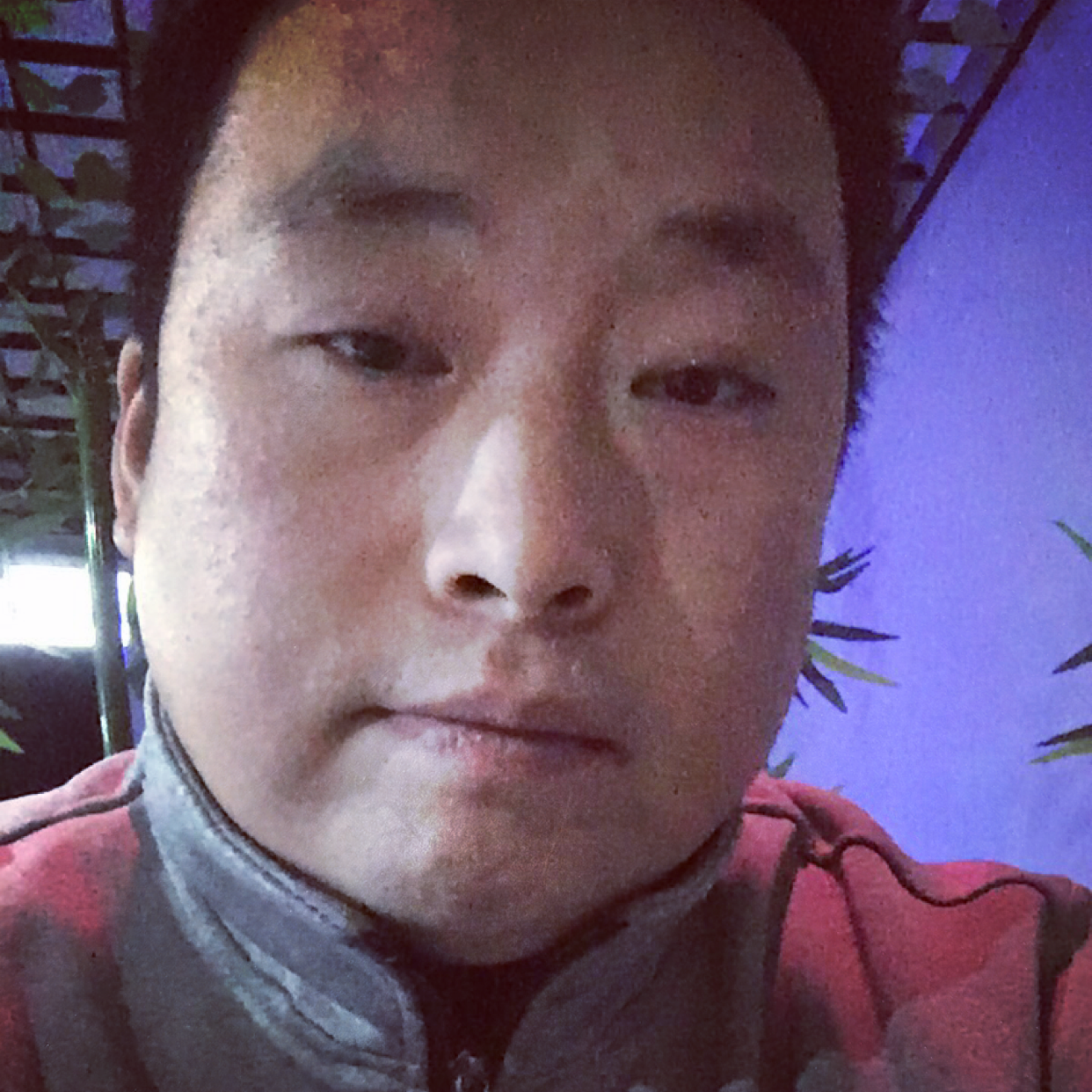 小碗里的照片
