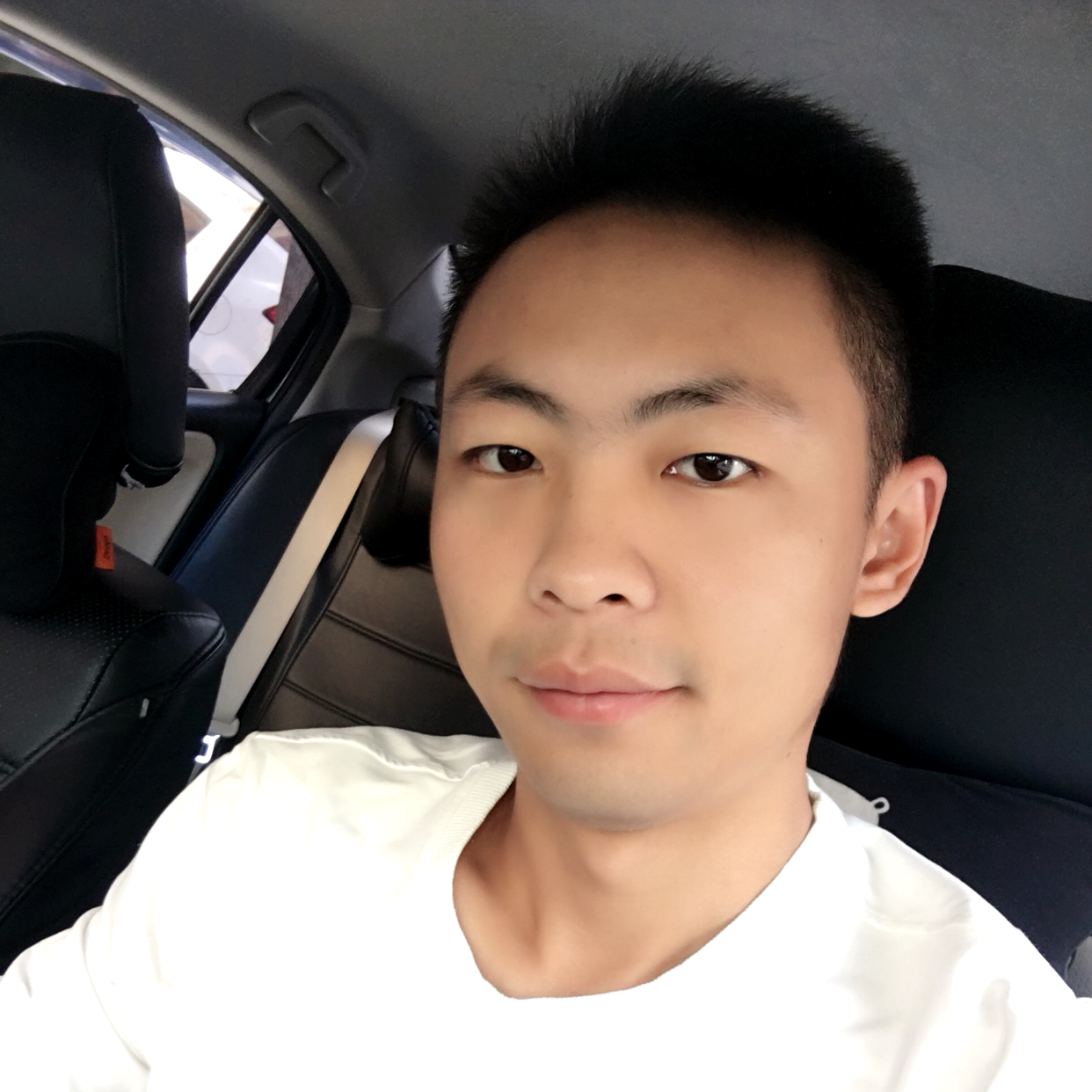 玫瑰奶牛的照片