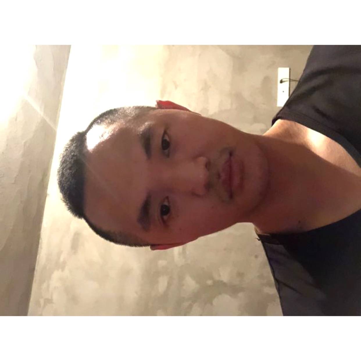 愉快苦恋树叶的照片