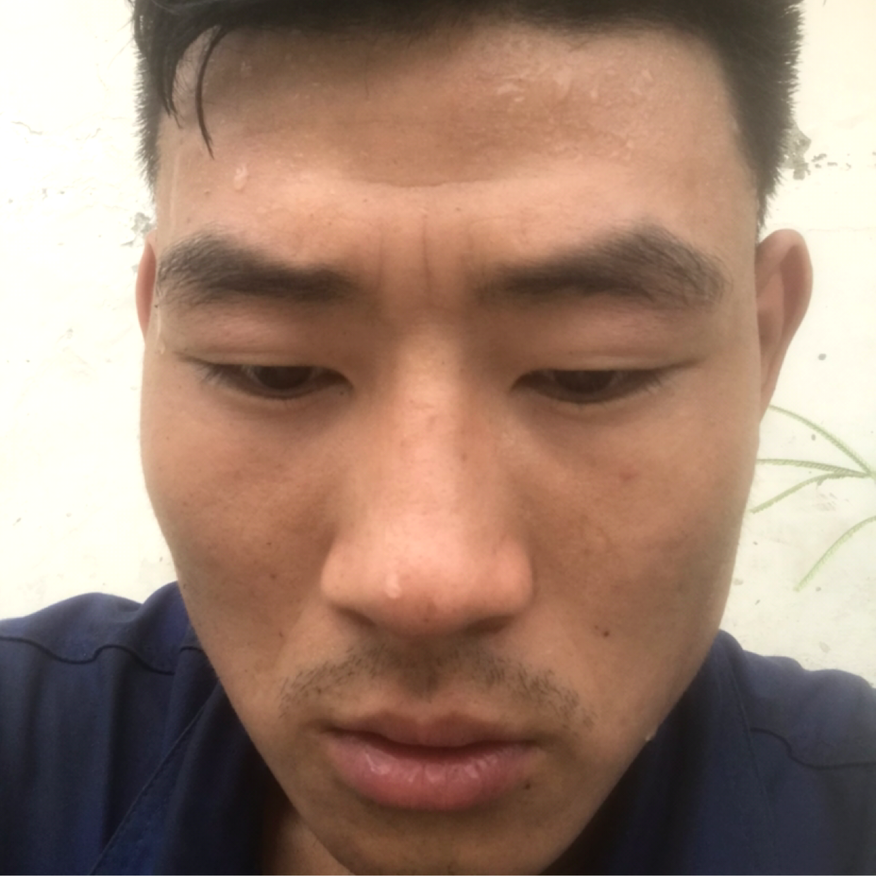 迷人改变鱼的照片