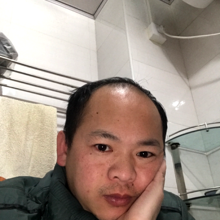 乌冬面典雅的照片