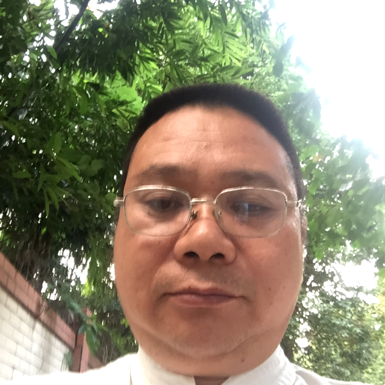 黄豆吃醋真淳的照片