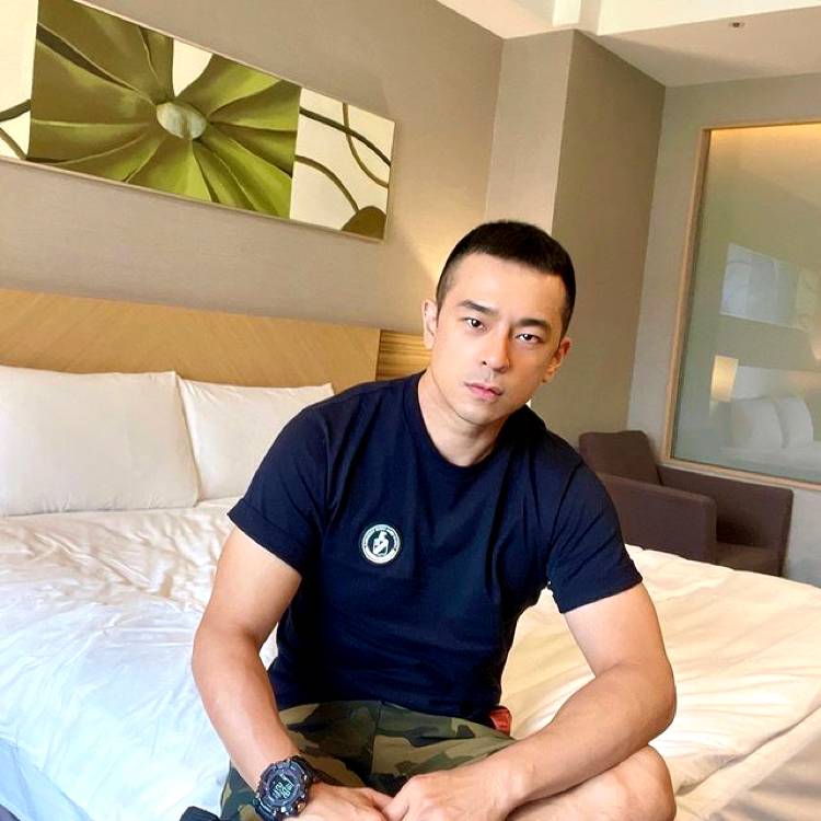 落叶的照片