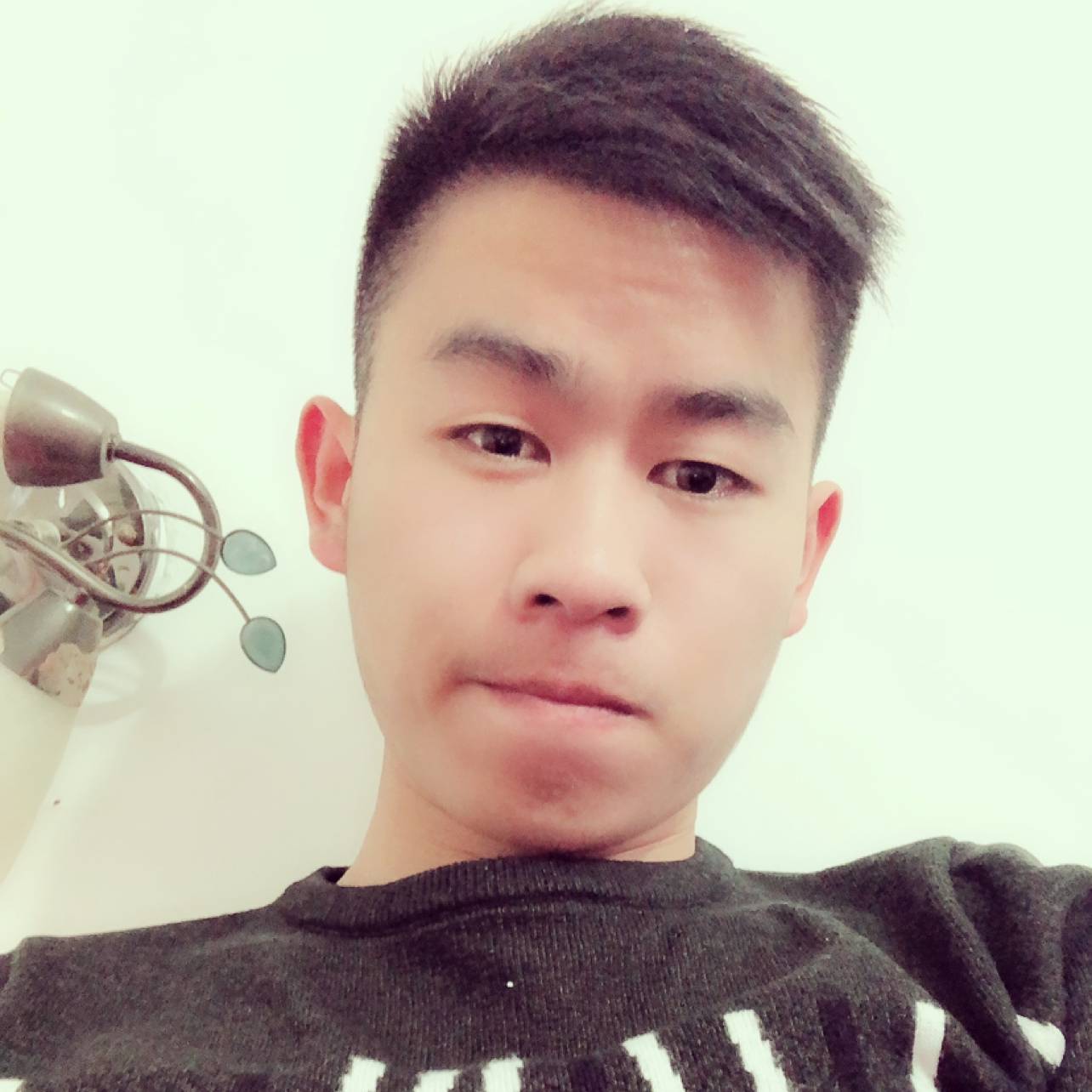 柒柒~的照片