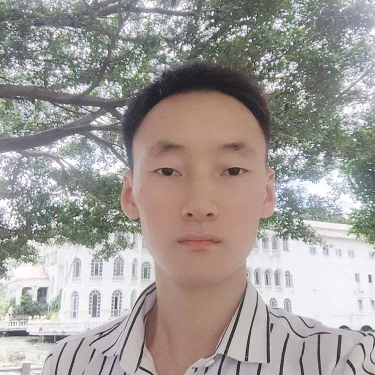 火车和干净的照片