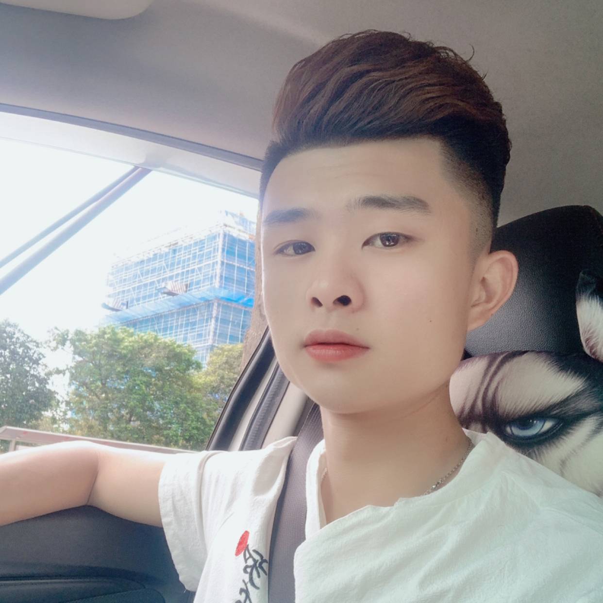 小鸿仔的照片