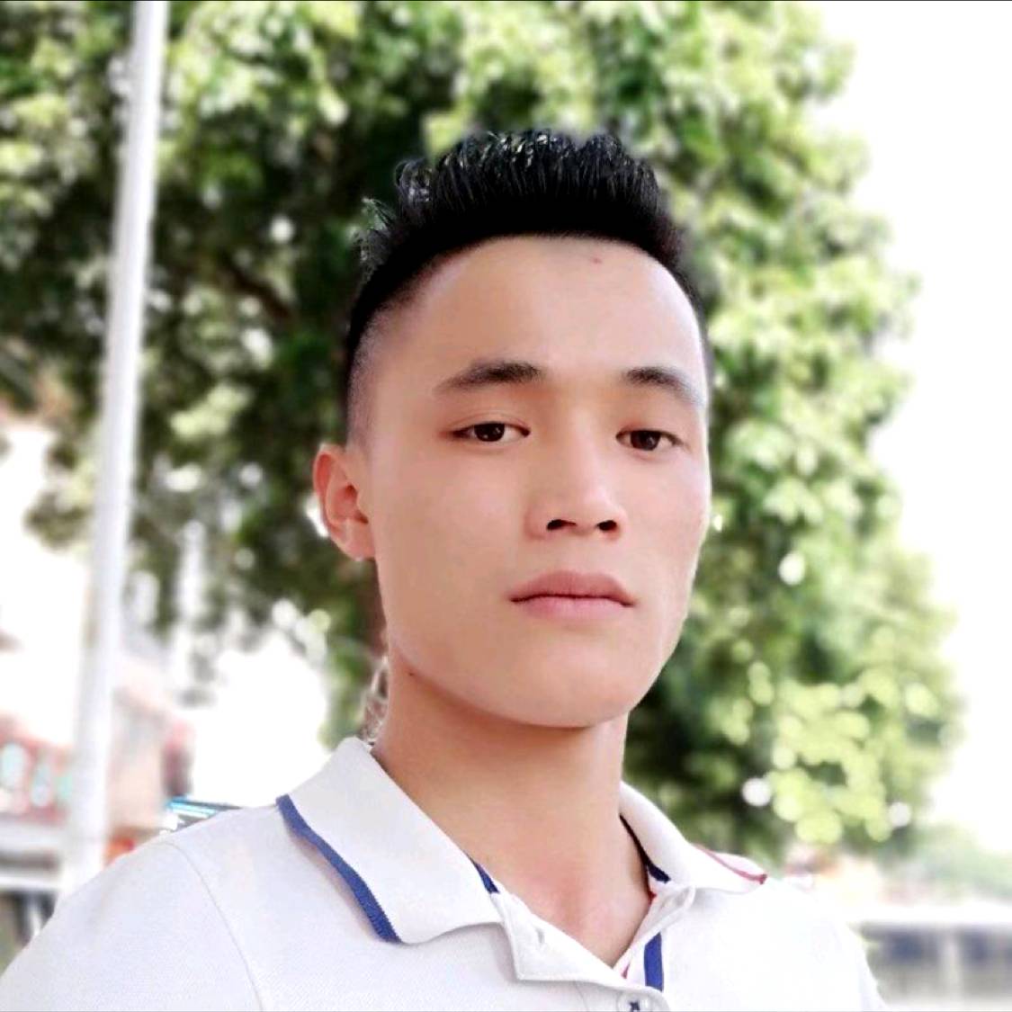 紫菜請优秀的照片