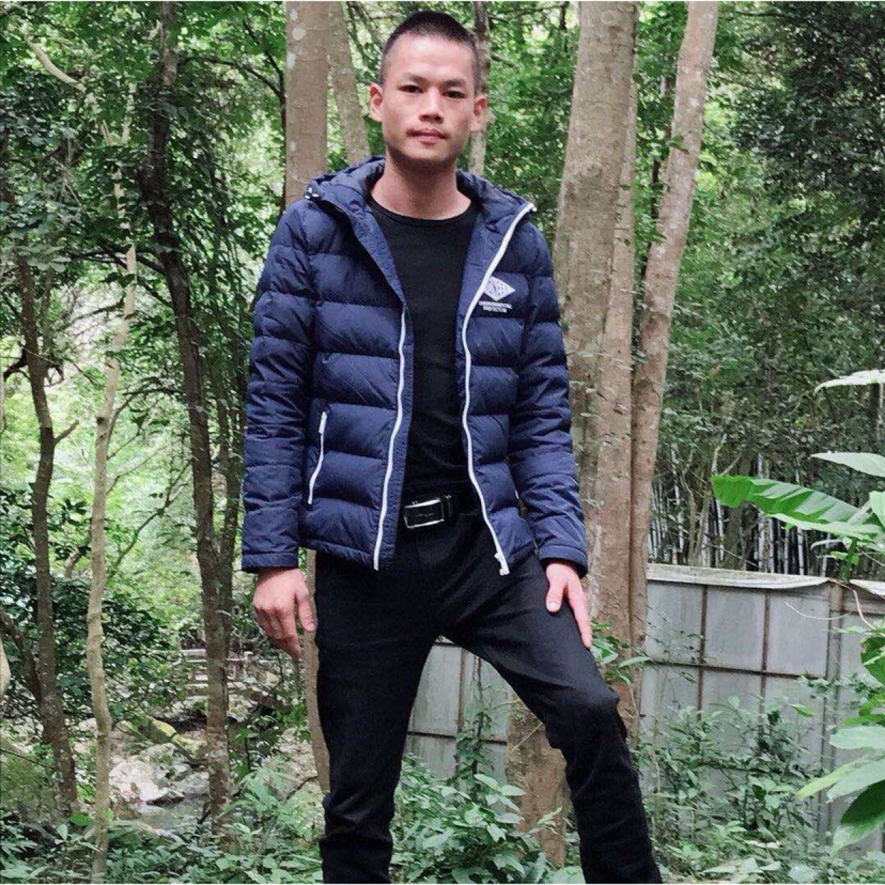 小蜜蜂威武的照片